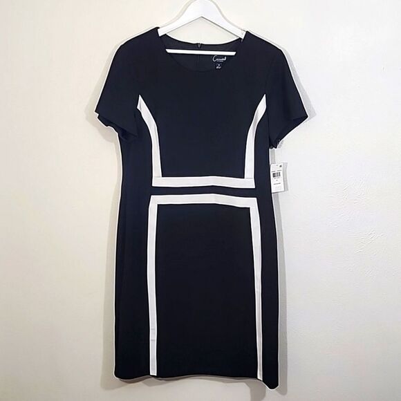 Connected Apparel womwn's black and white mature wear dress plus size 16 NWT - Picture 1 of 11
